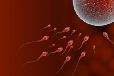 Spermogram i spermokultura u poliklinici 