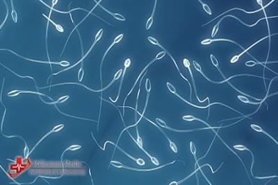 Spermokultura i spermogram  - analiza semene tečnosti